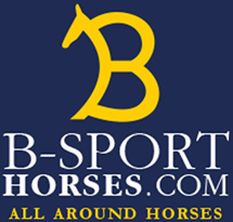 b-sporthorses